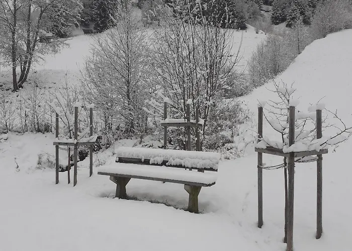 Daire Sellrain Apartment *